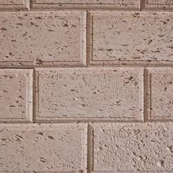 Ракушечник купить